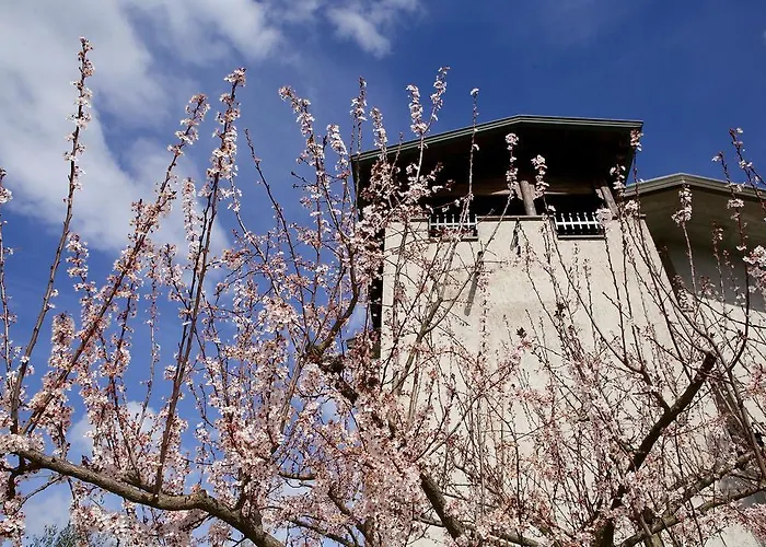 Bed & Breakfast Torretta D'assisi